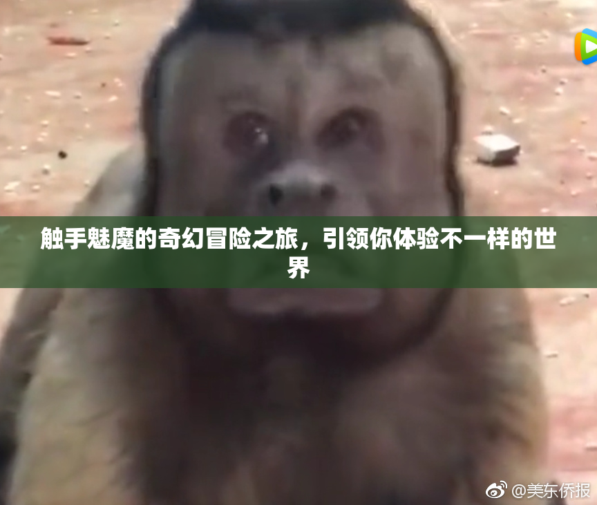 触手魅魔的奇幻冒险之旅，引领你体验不一样的世界