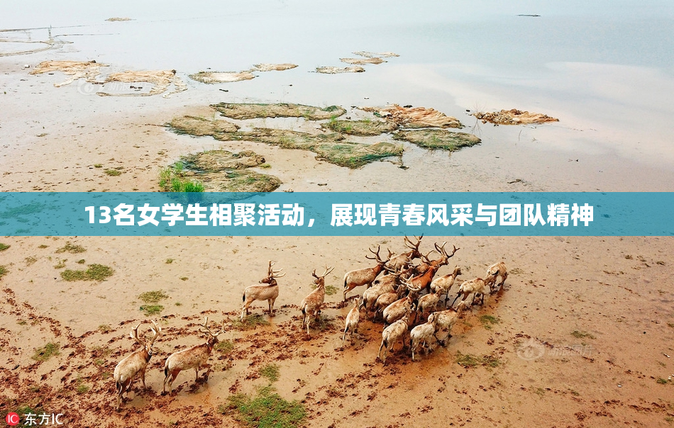13名女学生相聚活动，展现青春风采与团队精神