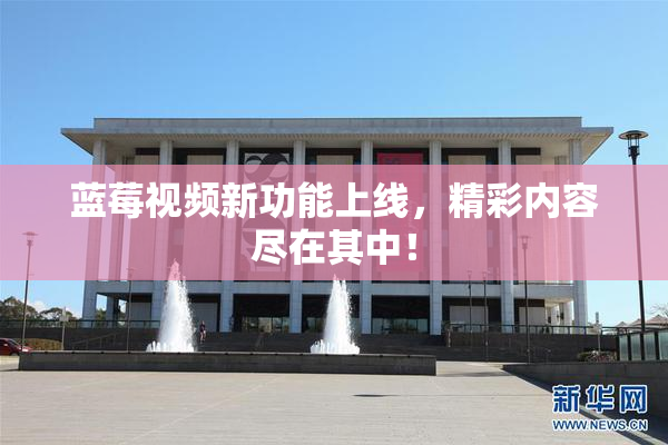 蓝莓视频新功能上线，精彩内容尽在其中！
