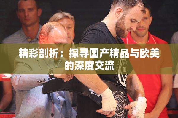 精彩剖析：探寻国产精品与欧美的深度交流