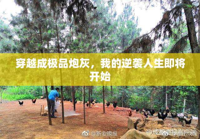 穿越成极品炮灰，我的逆袭人生即将开始