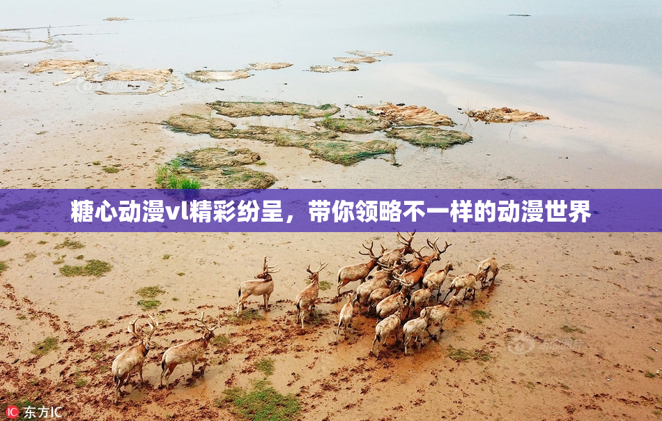 糖心动漫vl精彩纷呈，带你领略不一样的动漫世界