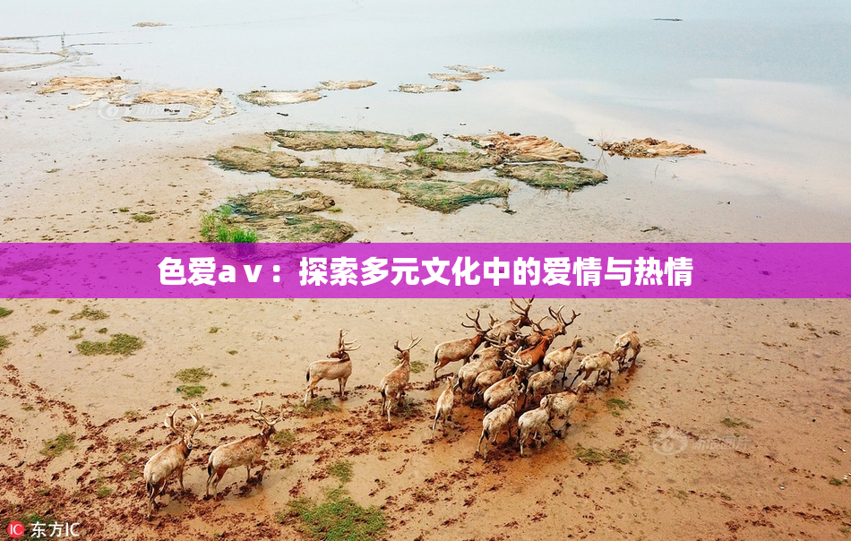 色爱aⅴ：探索多元文化中的爱情与热情