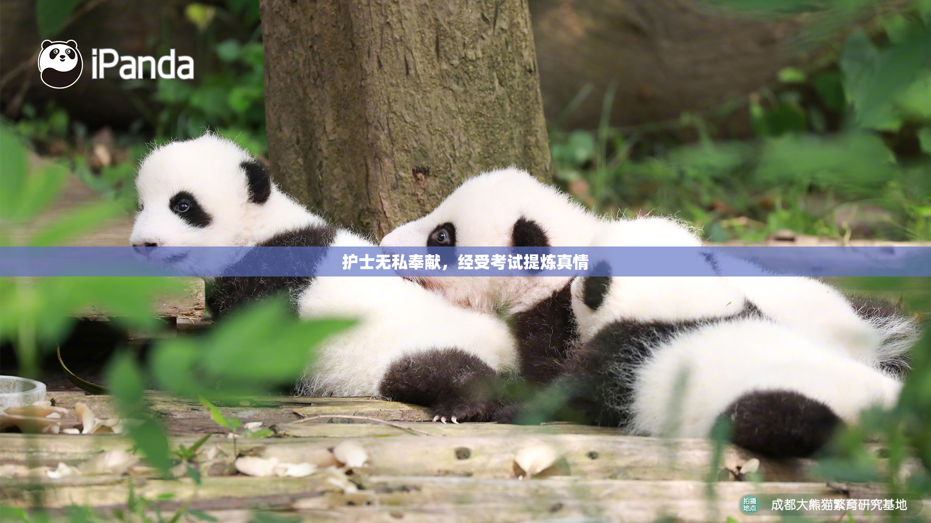 护士无私奉献，经受考试提炼真情