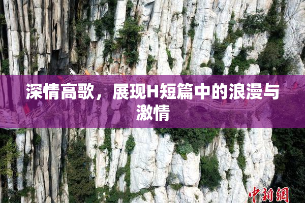 深情高歌，展现H短篇中的浪漫与激情