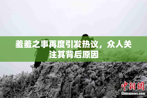 羞羞之事再度引发热议，众人关注其背后原因