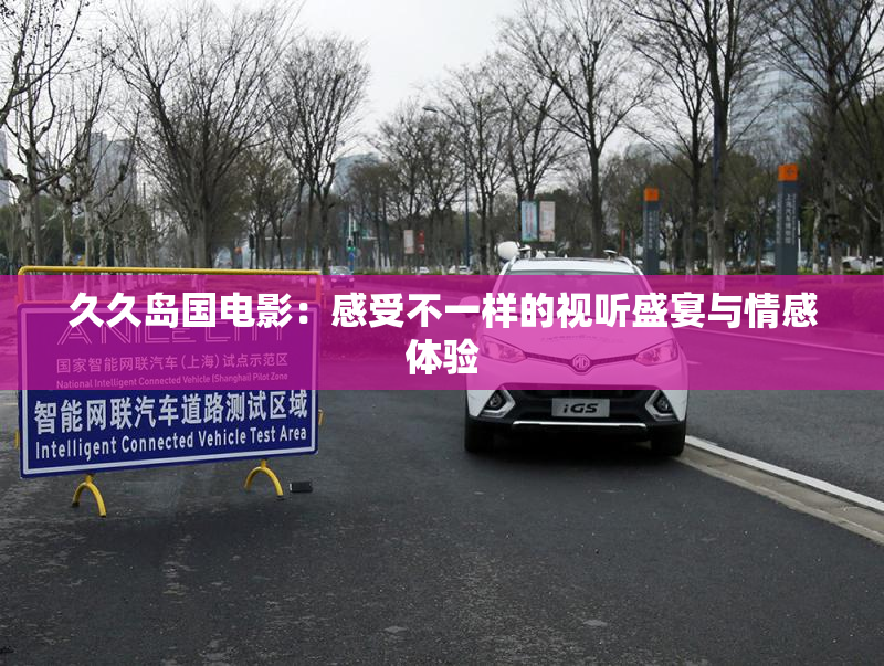 久久岛国电影：感受不一样的视听盛宴与情感体验