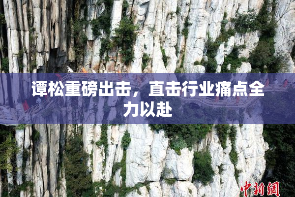 谭松重磅出击，直击行业痛点全力以赴