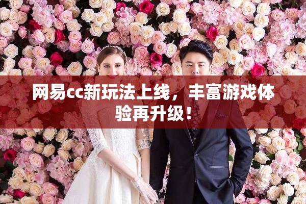 网易cc新玩法上线，丰富游戏体验再升级！