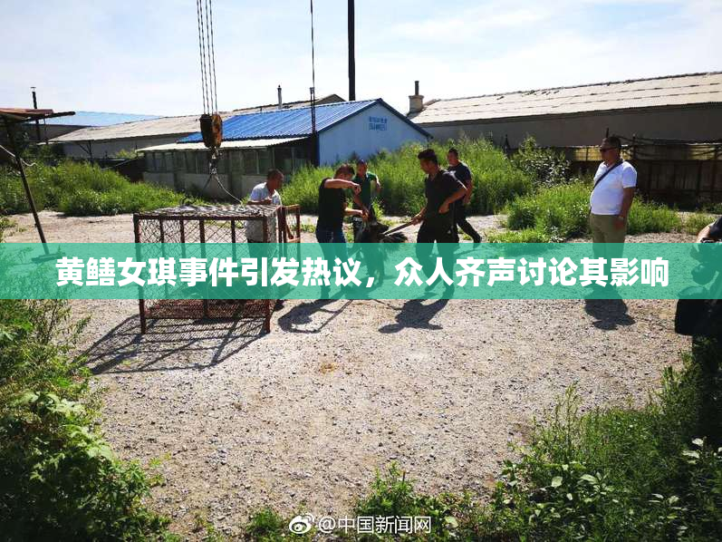 黄鳝女琪事件引发热议，众人齐声讨论其影响