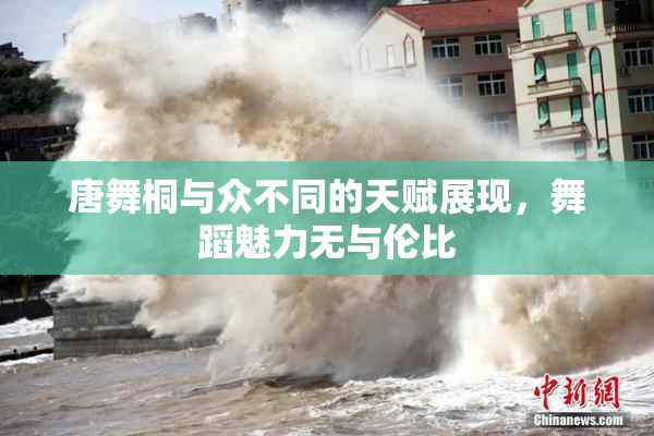 唐舞桐与众不同的天赋展现，舞蹈魅力无与伦比
