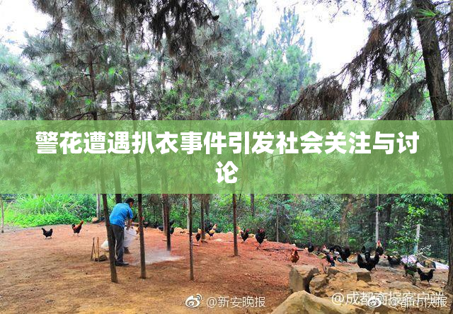 警花遭遇扒衣事件引发社会关注与讨论
