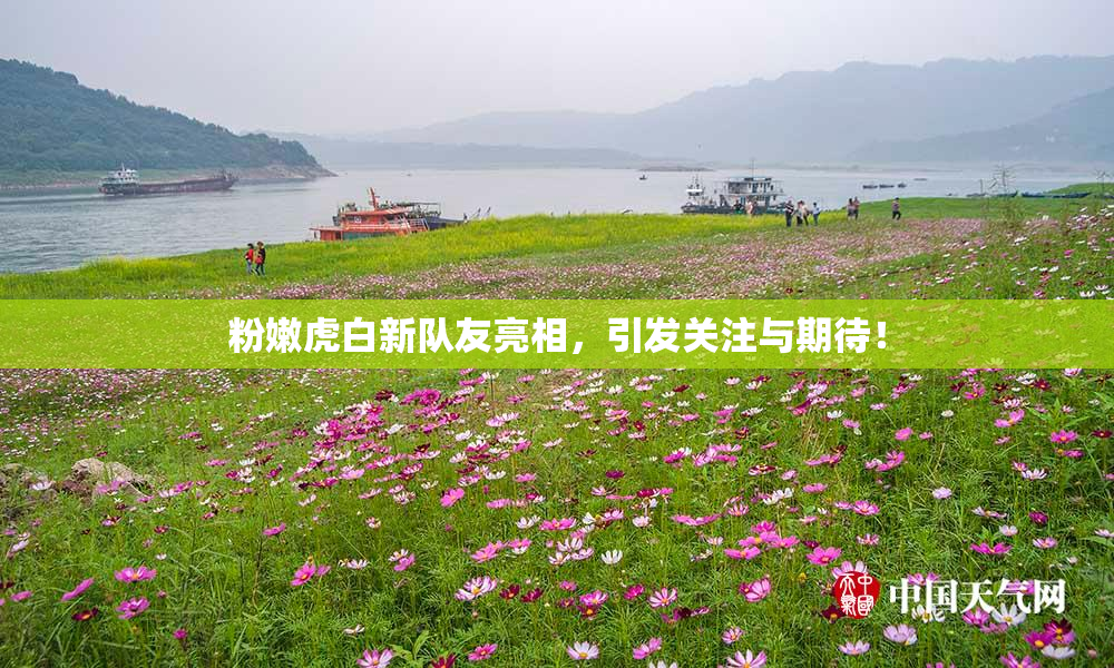 粉嫩虎白新队友亮相，引发关注与期待！