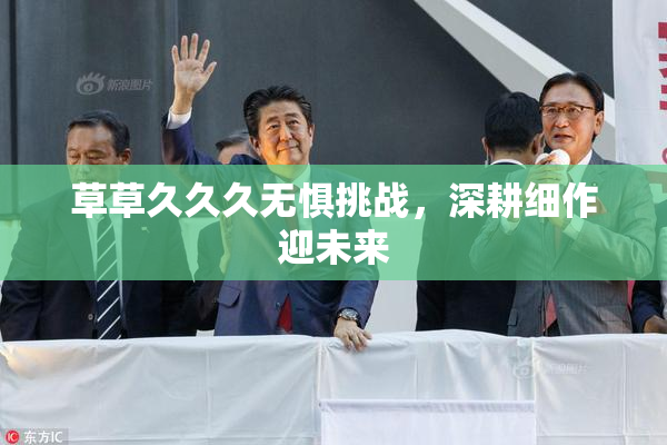 草草久久久无惧挑战，深耕细作迎未来