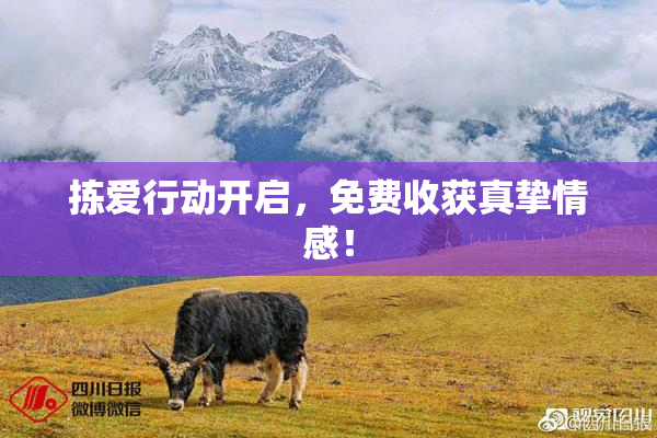 拣爱行动开启，免费收获真挚情感！