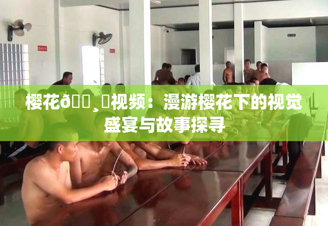 樱花🌸‌视频：漫游樱花下的视觉盛宴与故事探寻