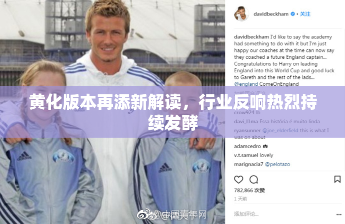 黄化版本再添新解读，行业反响热烈持续发酵