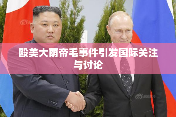 殴美大荫帝毛事件引发国际关注与讨论