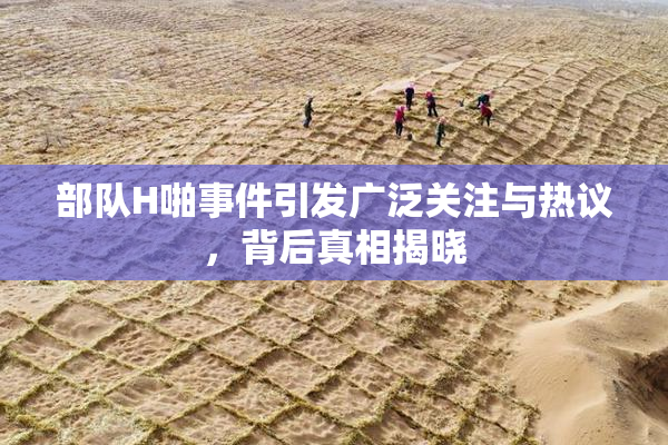 部队H啪事件引发广泛关注与热议，背后真相揭晓