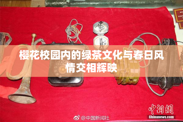 樱花校园内的绿茶文化与春日风情交相辉映