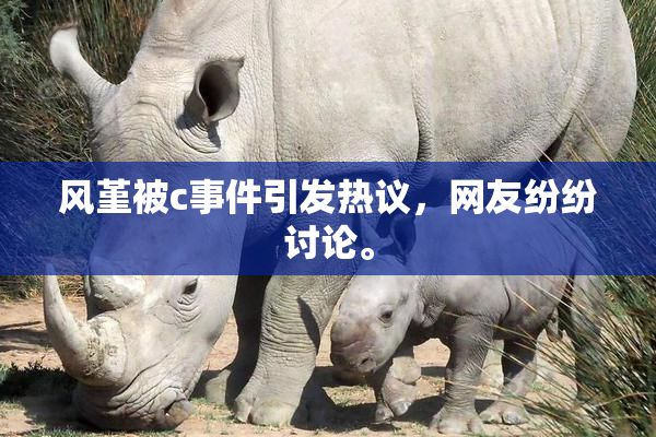 风堇被c事件引发热议，网友纷纷讨论。