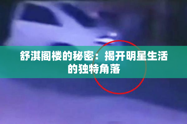 舒淇阁楼的秘密：揭开明星生活的独特角落