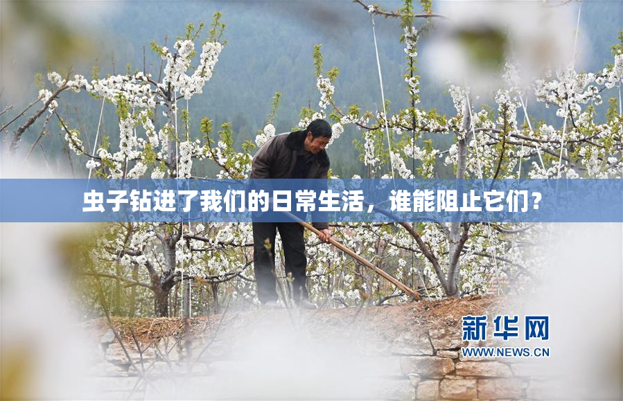 虫子钻进了我们的日常生活，谁能阻止它们？