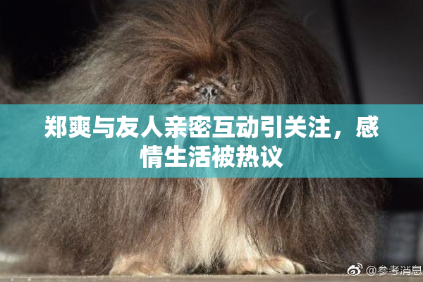 郑爽与友人亲密互动引关注，感情生活被热议