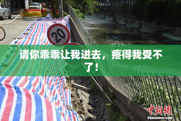 请你乖乖让我进去，疼得我受不了！