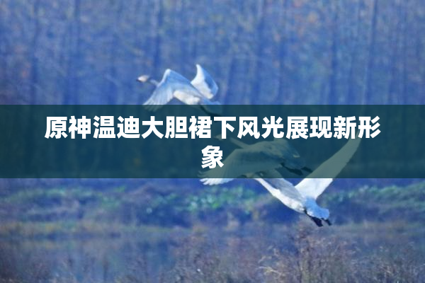原神温迪大胆裙下风光展现新形象