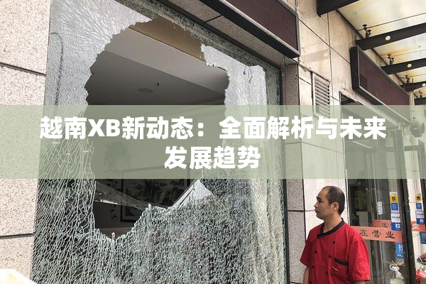越南XB新动态：全面解析与未来发展趋势