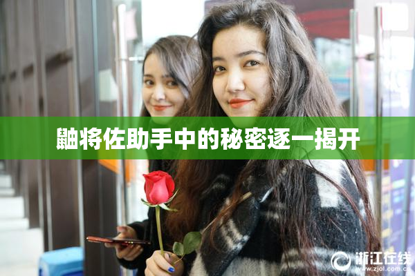 鼬将佐助手中的秘密逐一揭开