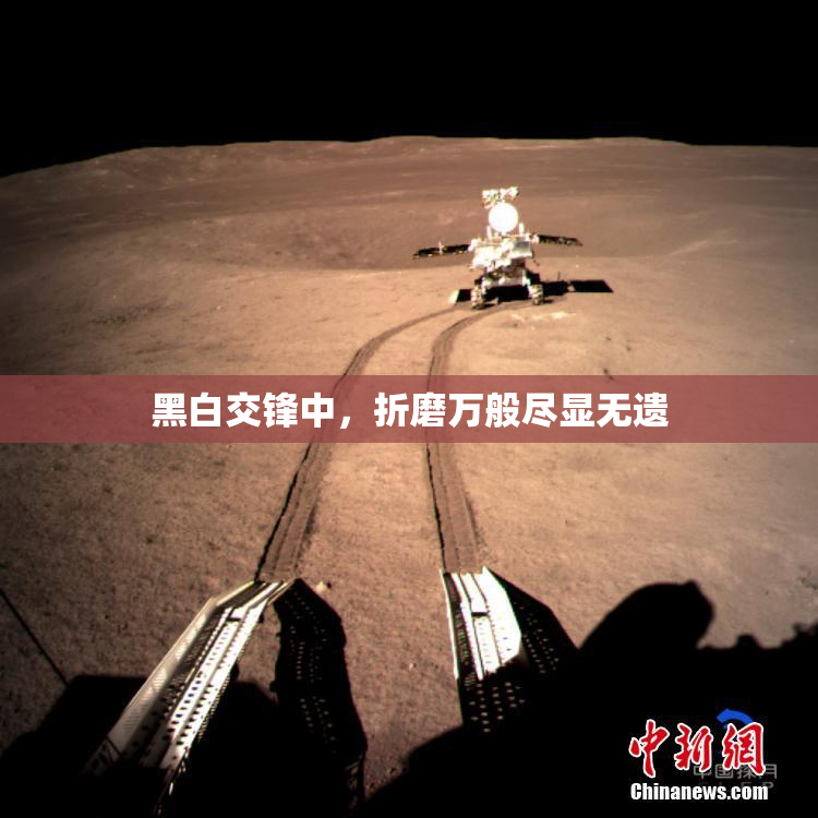 黑白交锋中，折磨万般尽显无遗