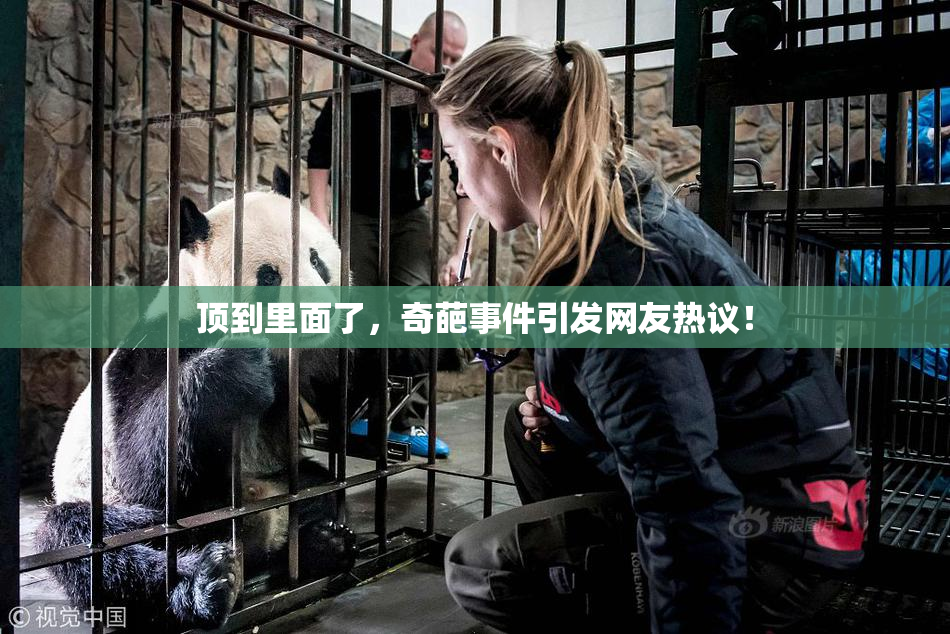 顶到里面了，奇葩事件引发网友热议！
