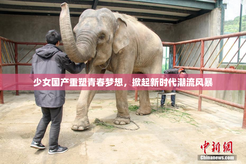 少女国产重塑青春梦想，掀起新时代潮流风暴