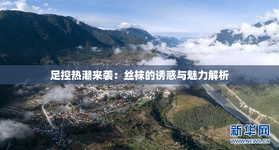 足控热潮来袭：丝袜的诱惑与魅力解析