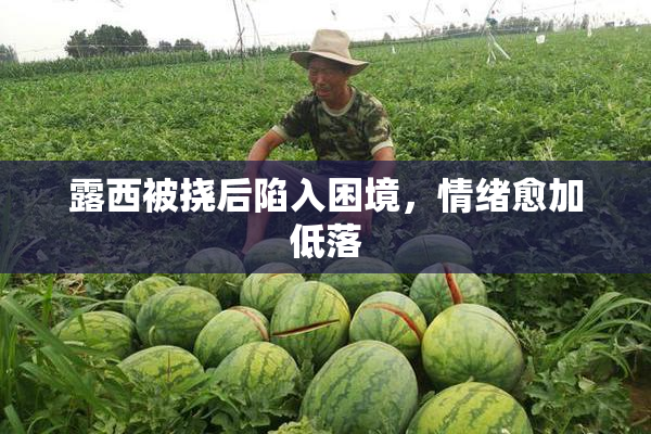 露西被挠后陷入困境，情绪愈加低落