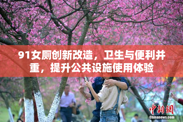 91女厕创新改造，卫生与便利并重，提升公共设施使用体验