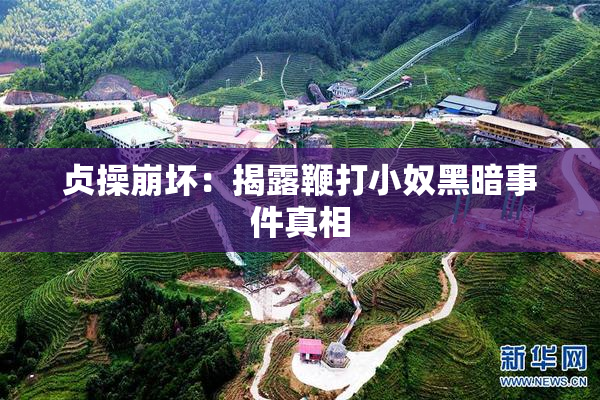 贞操崩坏：揭露鞭打小奴黑暗事件真相
