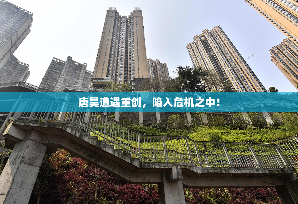 唐昊遭遇重创，陷入危机之中！