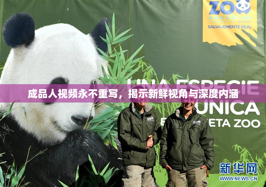 成品人视频永不重写，揭示新鲜视角与深度内涵
