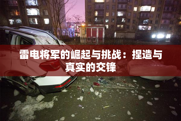 雷电将军的崛起与挑战：捏造与真实的交锋