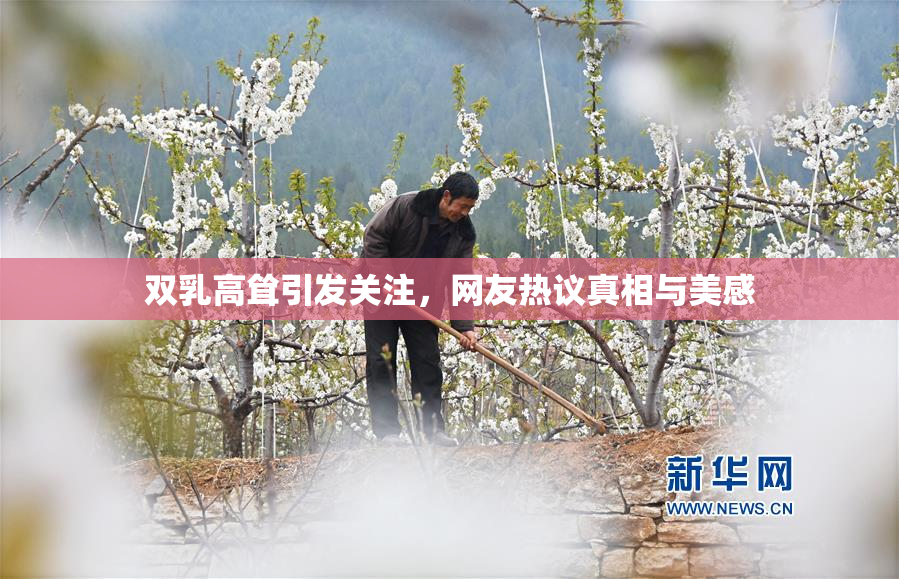 双乳高耸引发关注，网友热议真相与美感