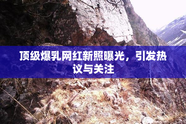 顶级爆乳网红新照曝光，引发热议与关注