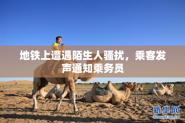 地铁上遭遇陌生人骚扰，乘客发声通知乘务员