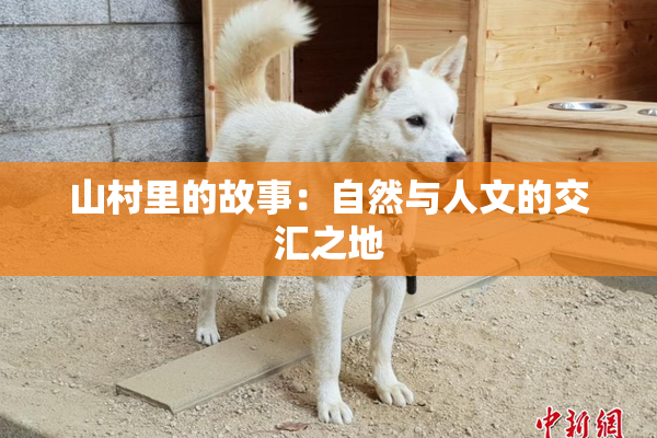 山村里的故事：自然与人文的交汇之地