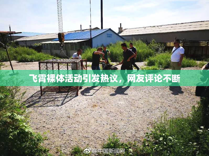 飞霄裸体活动引发热议，网友评论不断