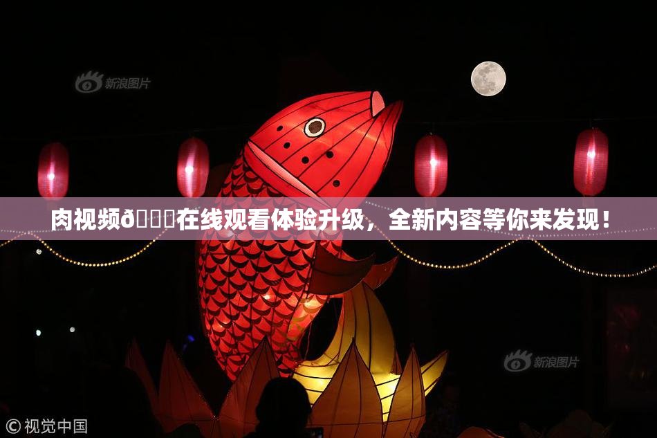 肉视频🔞在线观看体验升级，全新内容等你来发现！