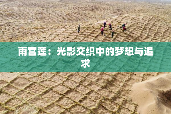 雨宫莲：光影交织中的梦想与追求