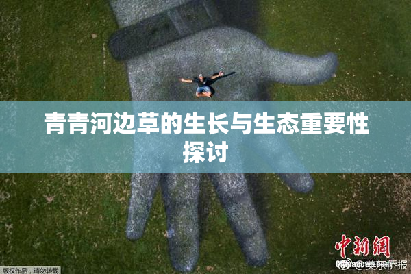 青青河边草的生长与生态重要性探讨